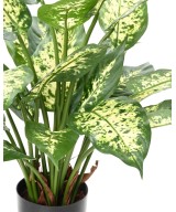 Artificial Dieffenbachia *26 IN A POT