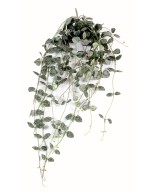 Kunstlik ceropegia (südamete kett)