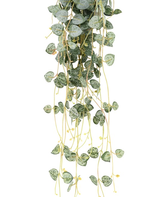 Artificial Ceropegia (string of hearts)