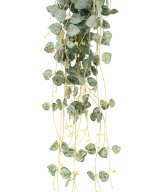 Kunstlik ceropegia (südamete kett)
