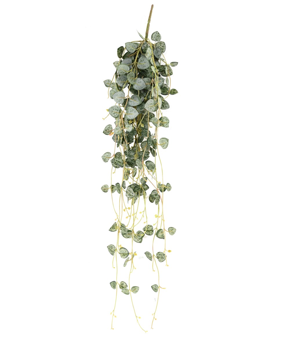 Kunstlik ceropegia (südamete kett)
