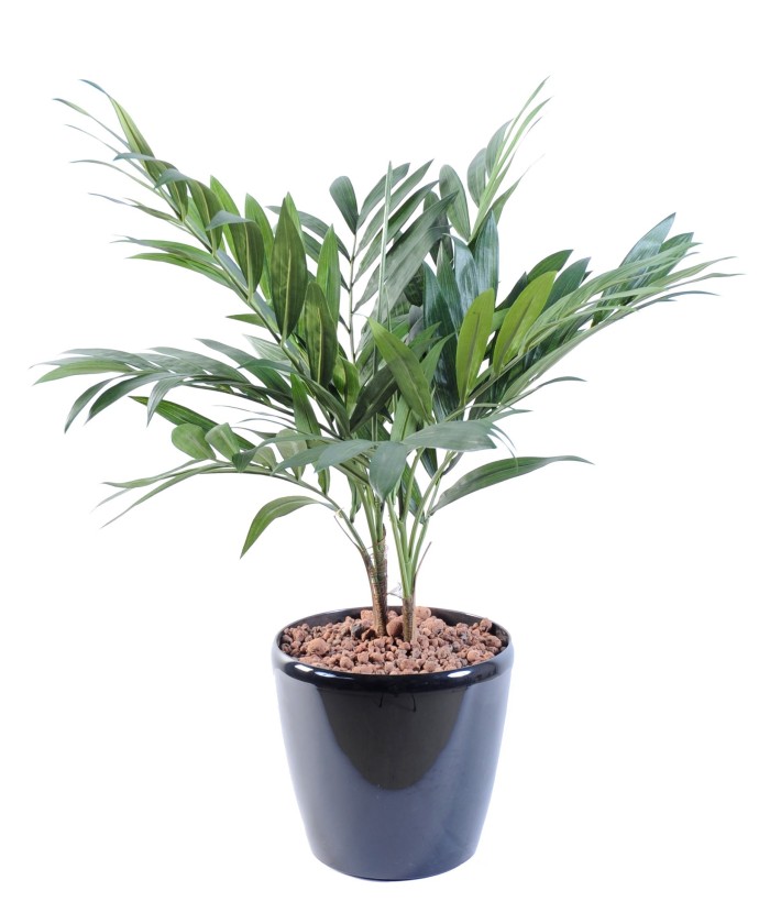 Kunstlik palmipuu salong PLANT
