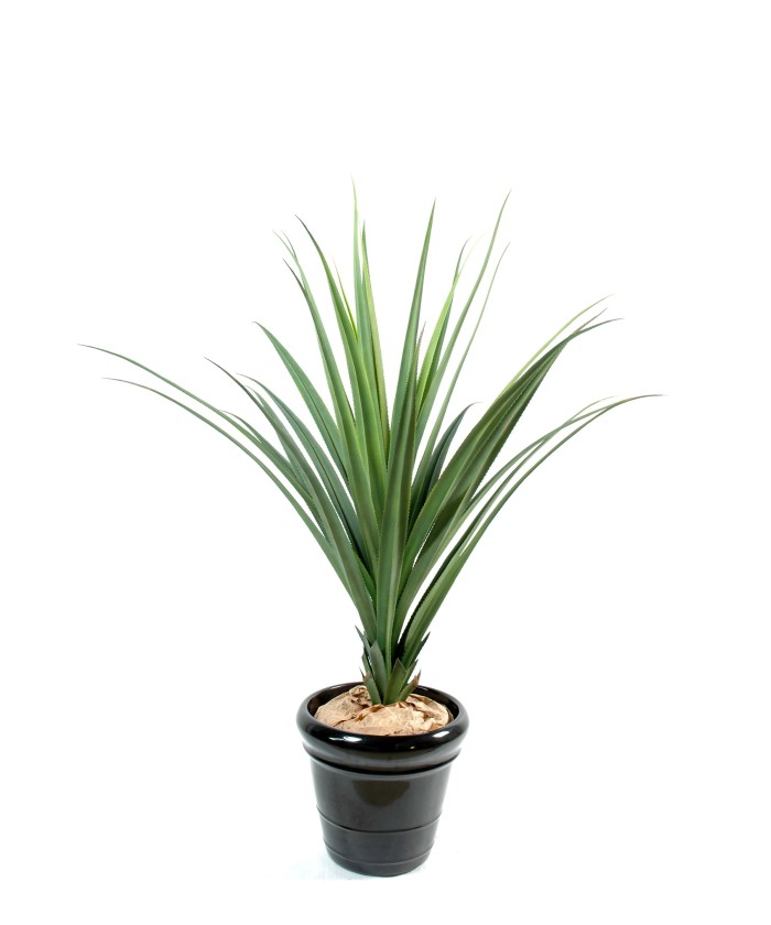 Kunstlik pandanus