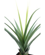 Kunstlik pandanus