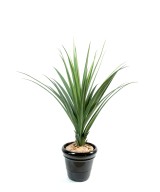 Kunstlik pandanus