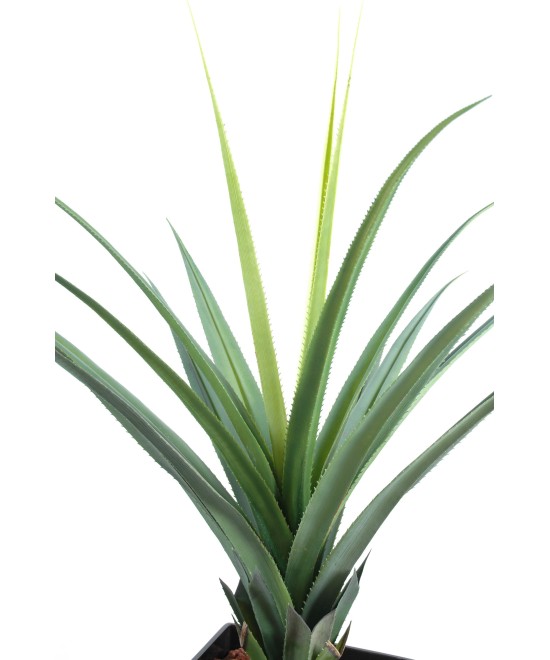 Kunstlik pandanus