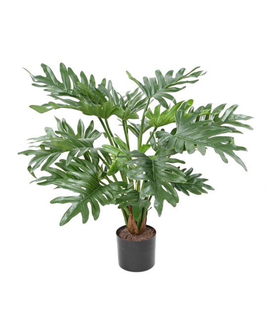 Kunstlik filodendron SELLOUM