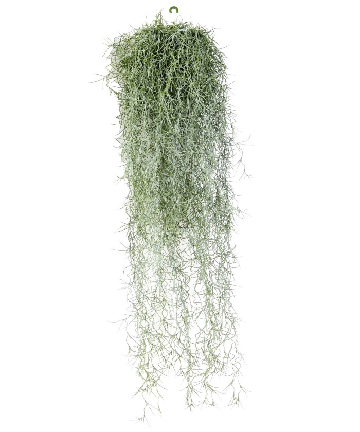 Kunstlik tillandsia (Hispaania sammal)