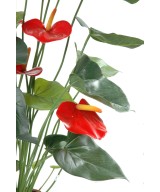 Kunstlik antuurium *9