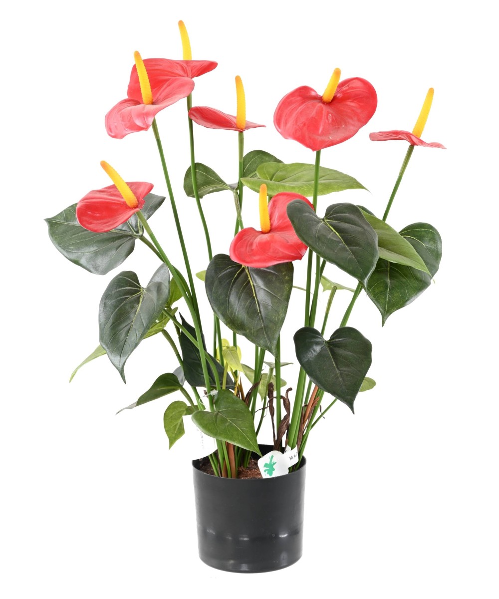 Artificial anthurium *7