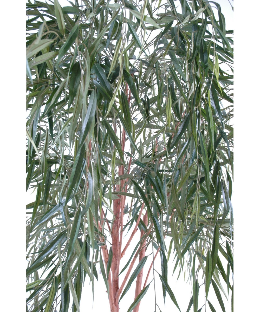Artificial willow