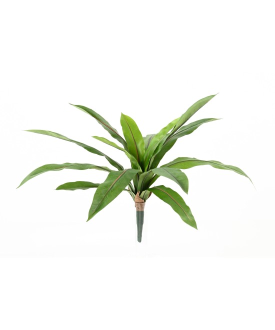 Kunstaspleenium *15