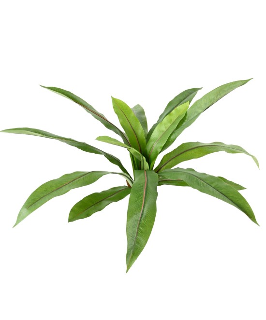 Artificial asplenium *15
