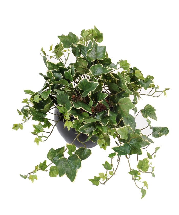 Artificial ivy GALA *180