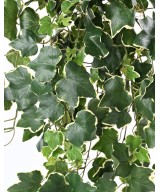 Artificial ivy GALA *331 UV