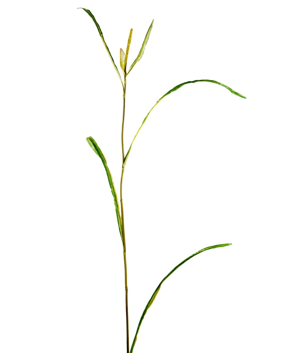 Kunstlik Miscanthus SPRIG