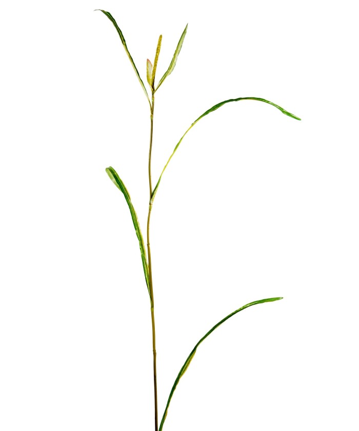 Kunstlik Miscanthus SPRIG