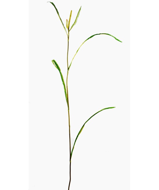 Kunstlik Miscanthus SPRIG