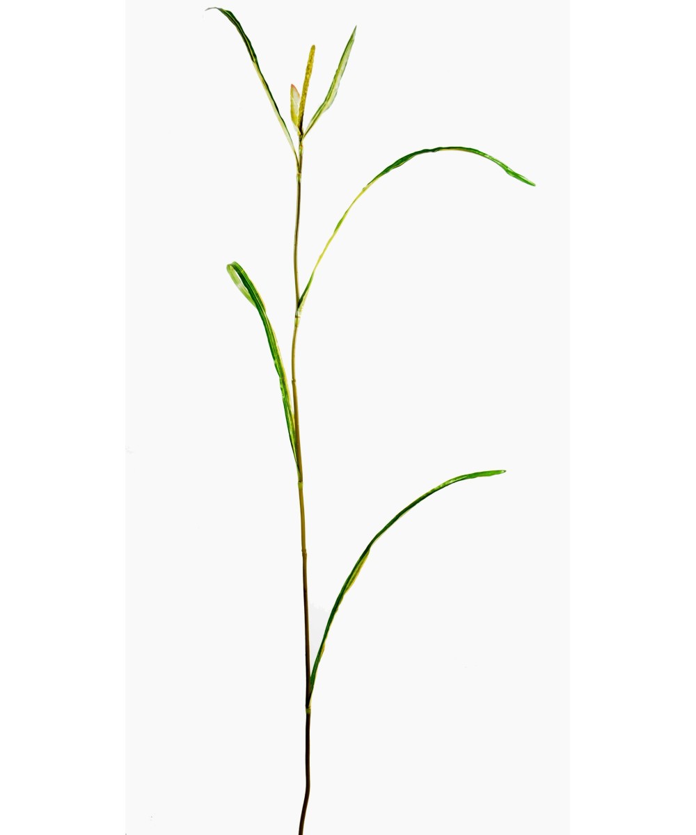 Kunstlik Miscanthus SPRIG