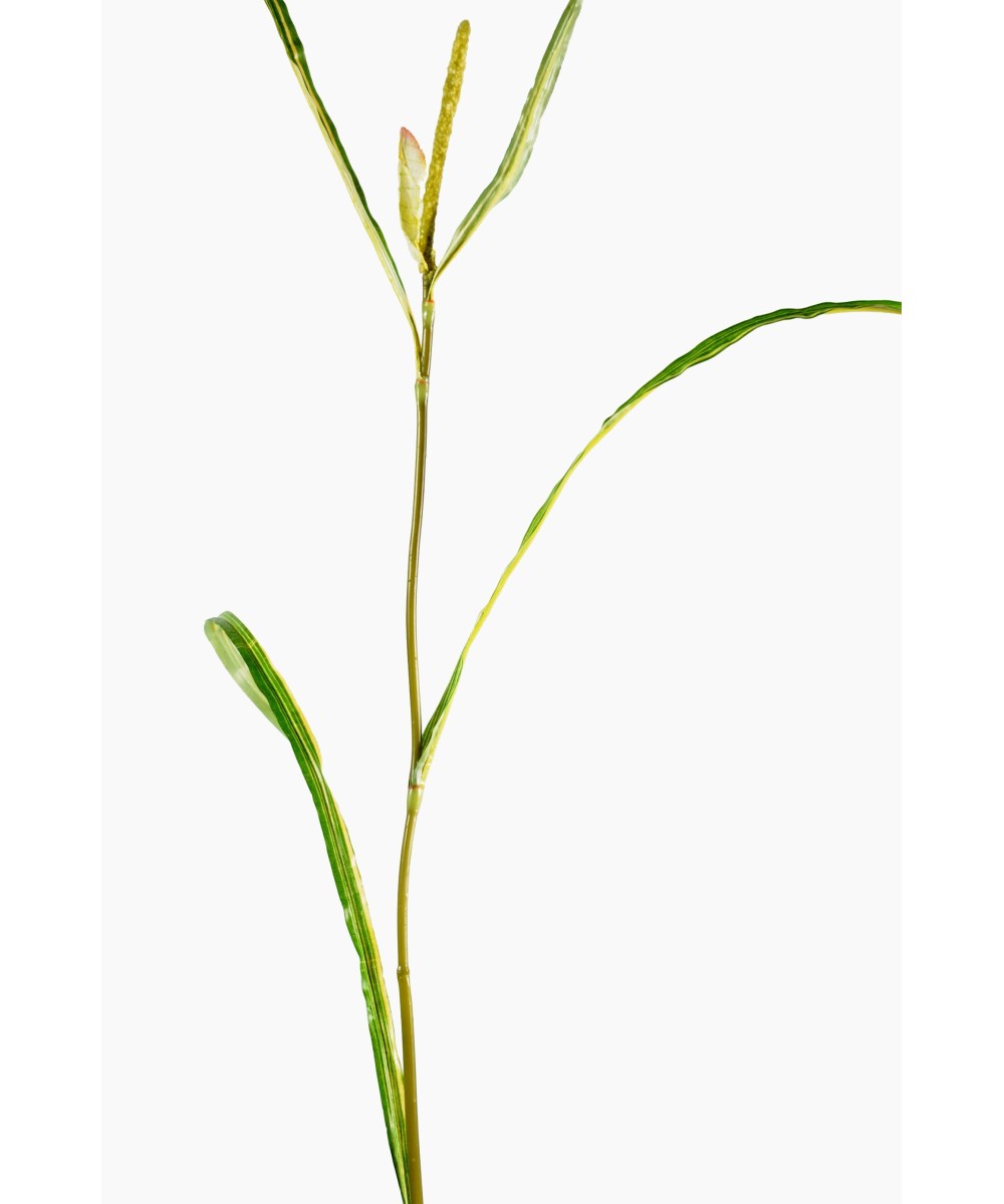 Kunstlik Miscanthus SPRIG