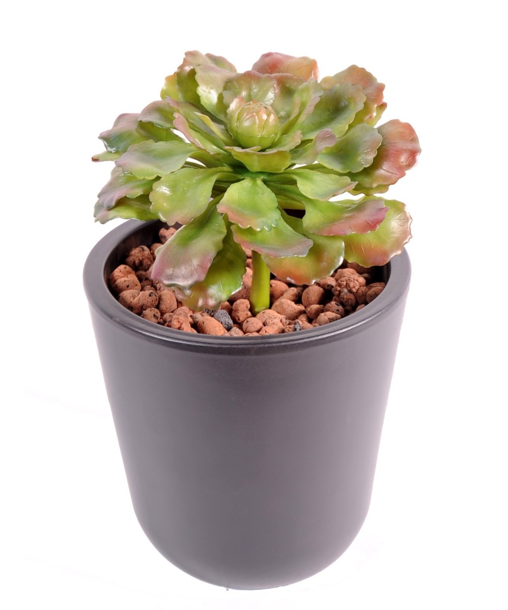 Artificial succulent 15