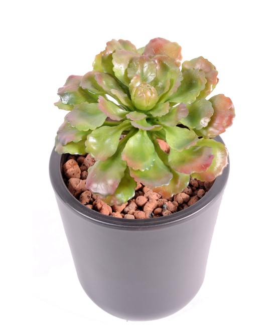 Artificial succulent 15