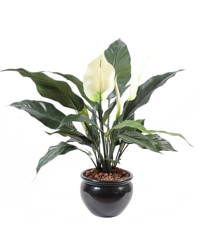 Artificial Spathiphylium (Peace Lily) 2FL 1B POT