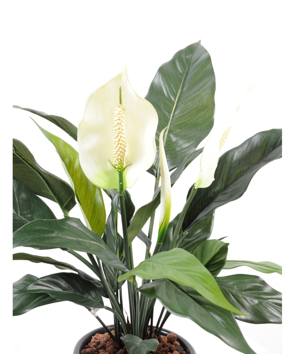 Artificial Spathiphylium (Peace Lily) 2FL 1B POT