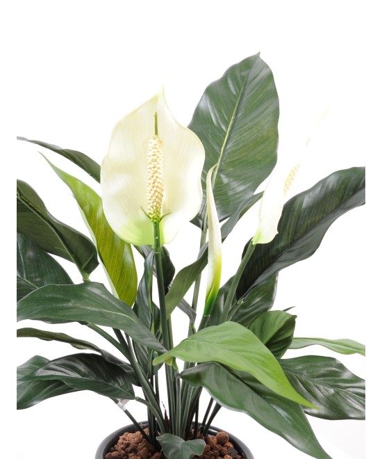 Kunstlik Spathiphylium (rahuliilia) 2FL 1B pott