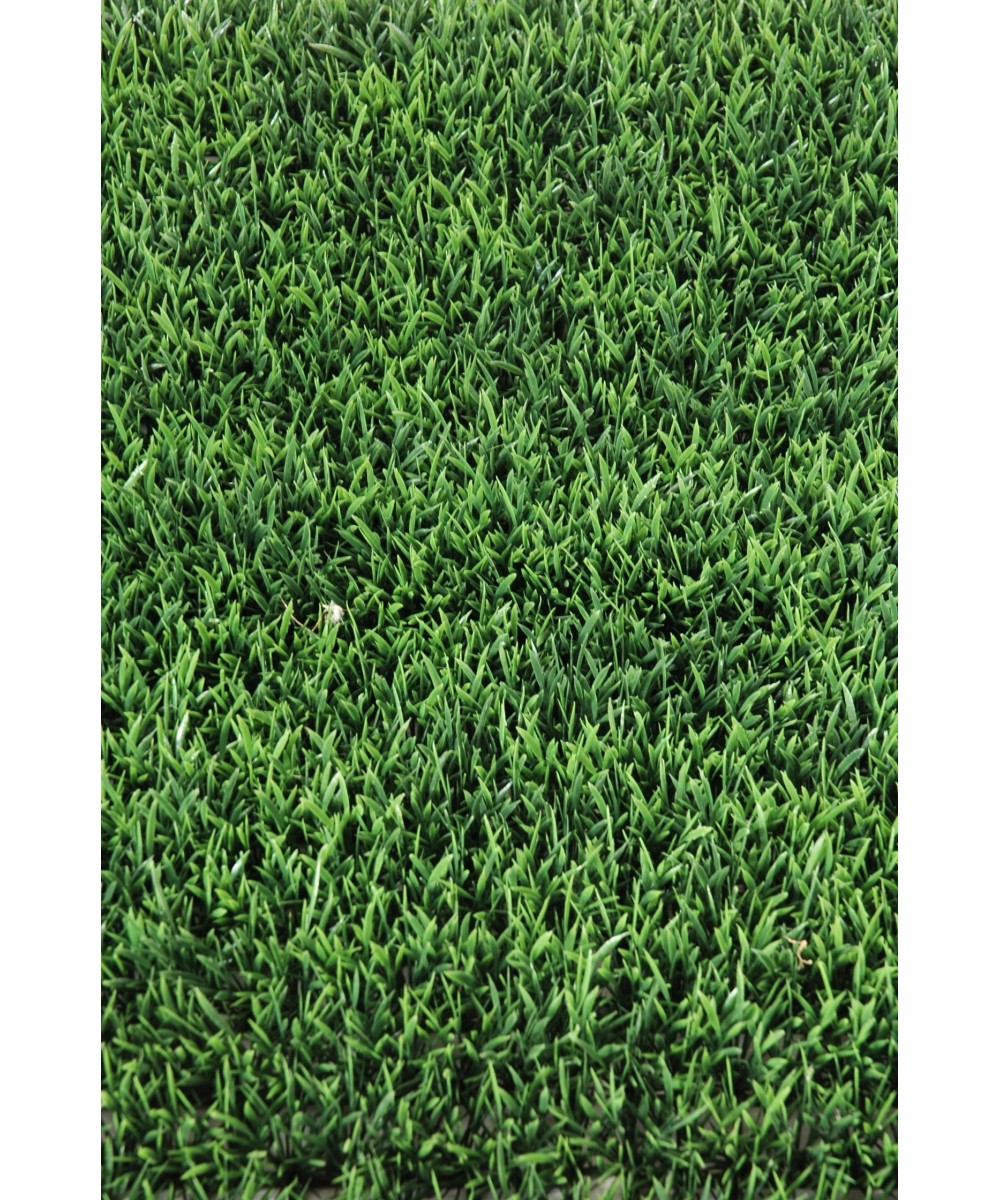 GRASS PANEL 70 (Net promotional price)