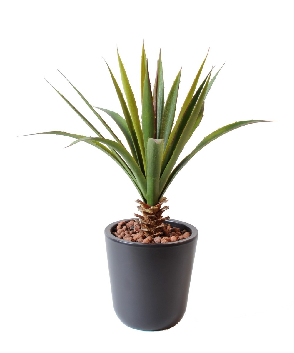 Artificial Aloe ferox
