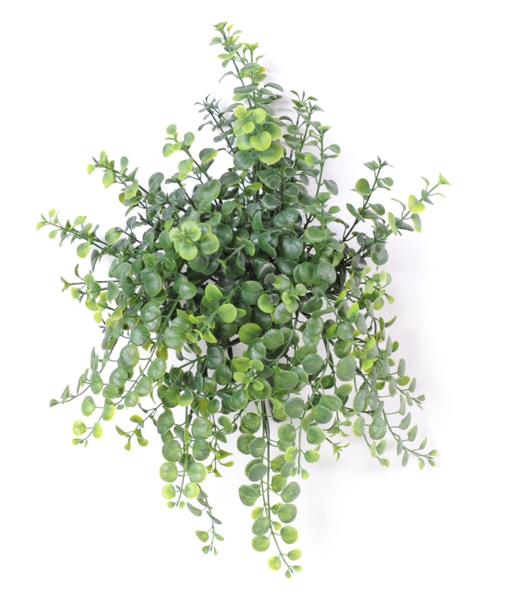 Kunstlik peperomia RIPUVÕÕSAS plast