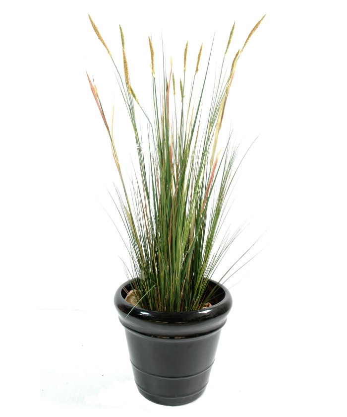 Artificial Zannichellia