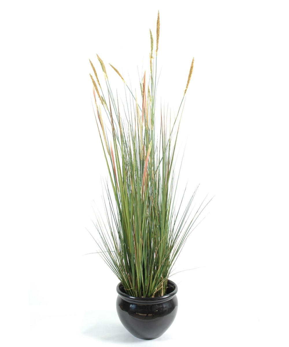 Artificial Zannichellia