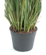Artificial Zannichellia