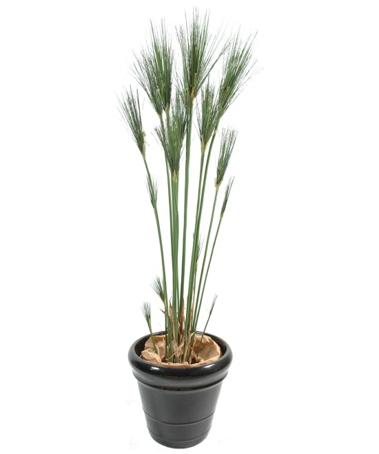 Kunstlik CYPERUS papüürus