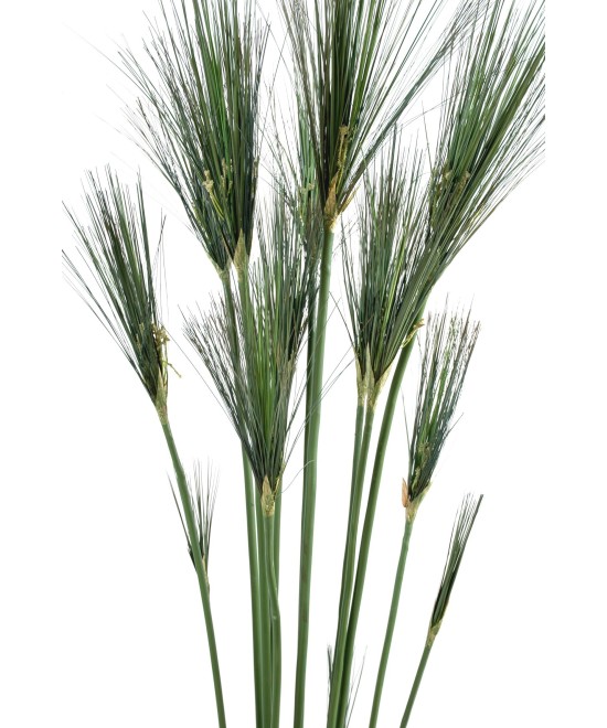 Kunstlik CYPERUS papüürus