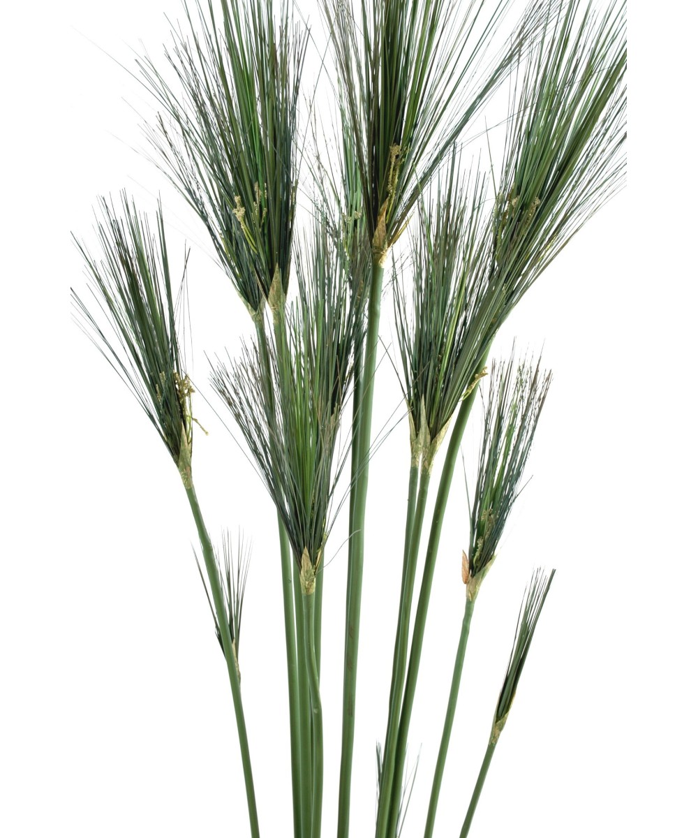 Kunstlik CYPERUS papüürus
