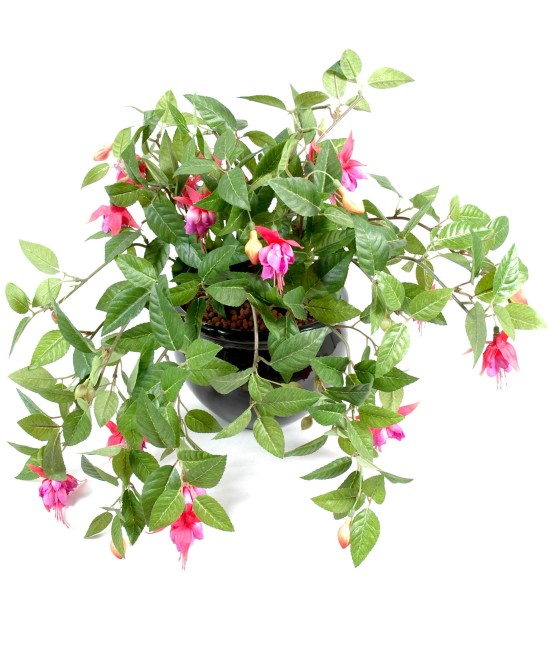 Artificial fuchsia HANGING BUSH *306