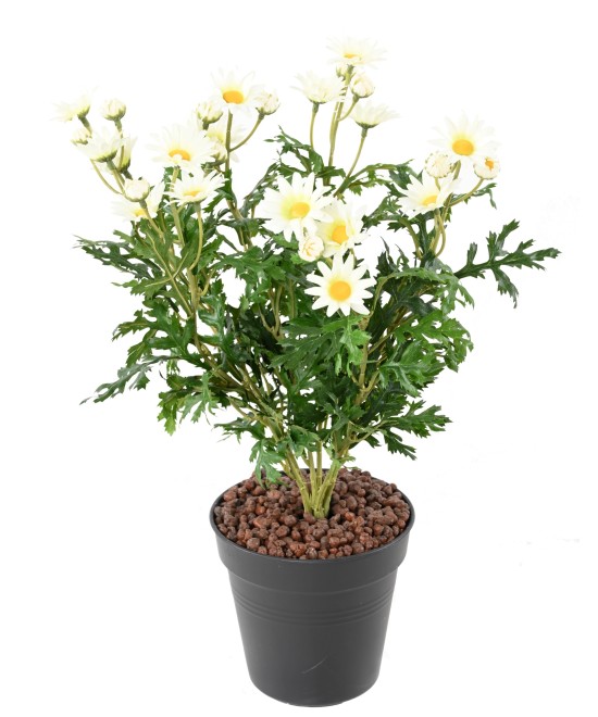Kunstlik karikakar ANTHEMIS *120*31
