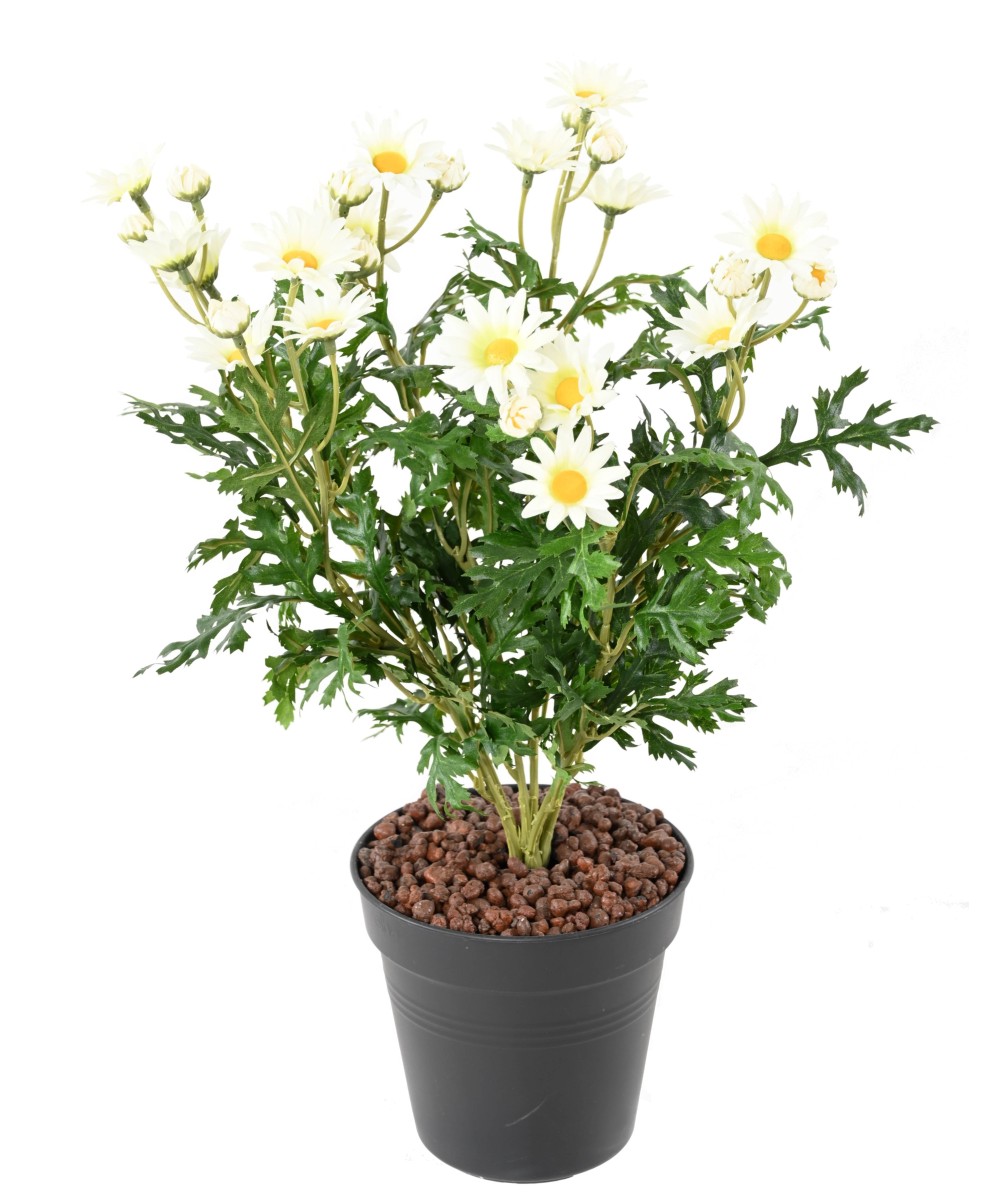 Kunstlik karikakar ANTHEMIS *120*31