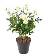 Kunstlik karikakar ANTHEMIS *120*31