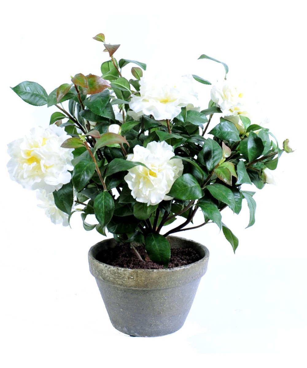 Artificial camellia EARTHEN POT