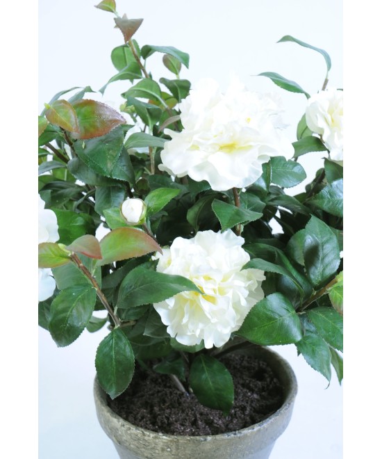 Artificial camellia EARTHEN POT