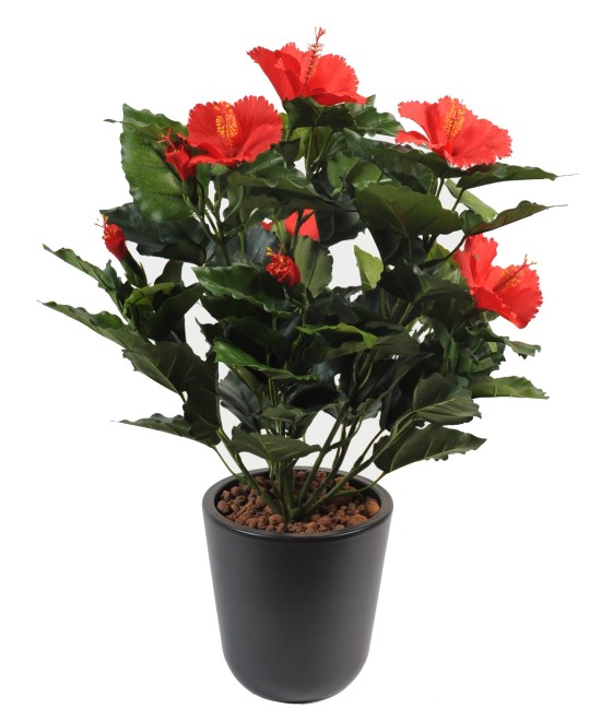 Kunstlik hibiskusepõõsas