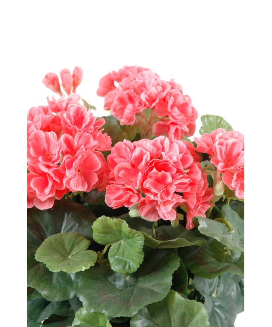 Artificial geranium *115