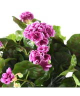 Kunstlik geraanium *115