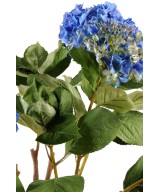 HYDRANGEA EARTHEN POT (Net promotional price)