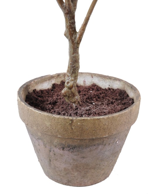HYDRANGEA EARTHEN POT (Net promotional price)