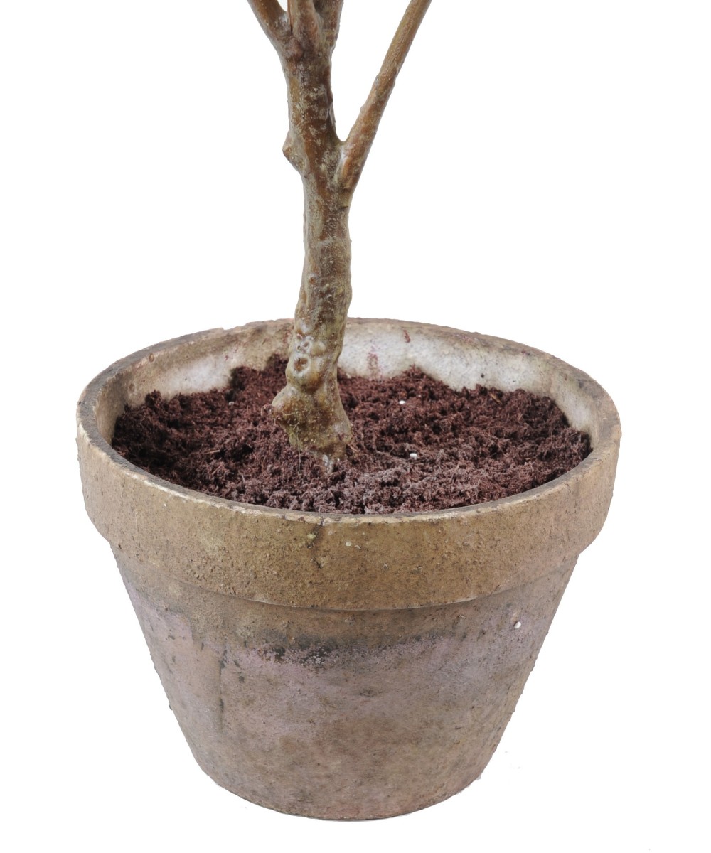 HYDRANGEA EARTHEN POT (Net promotional price)